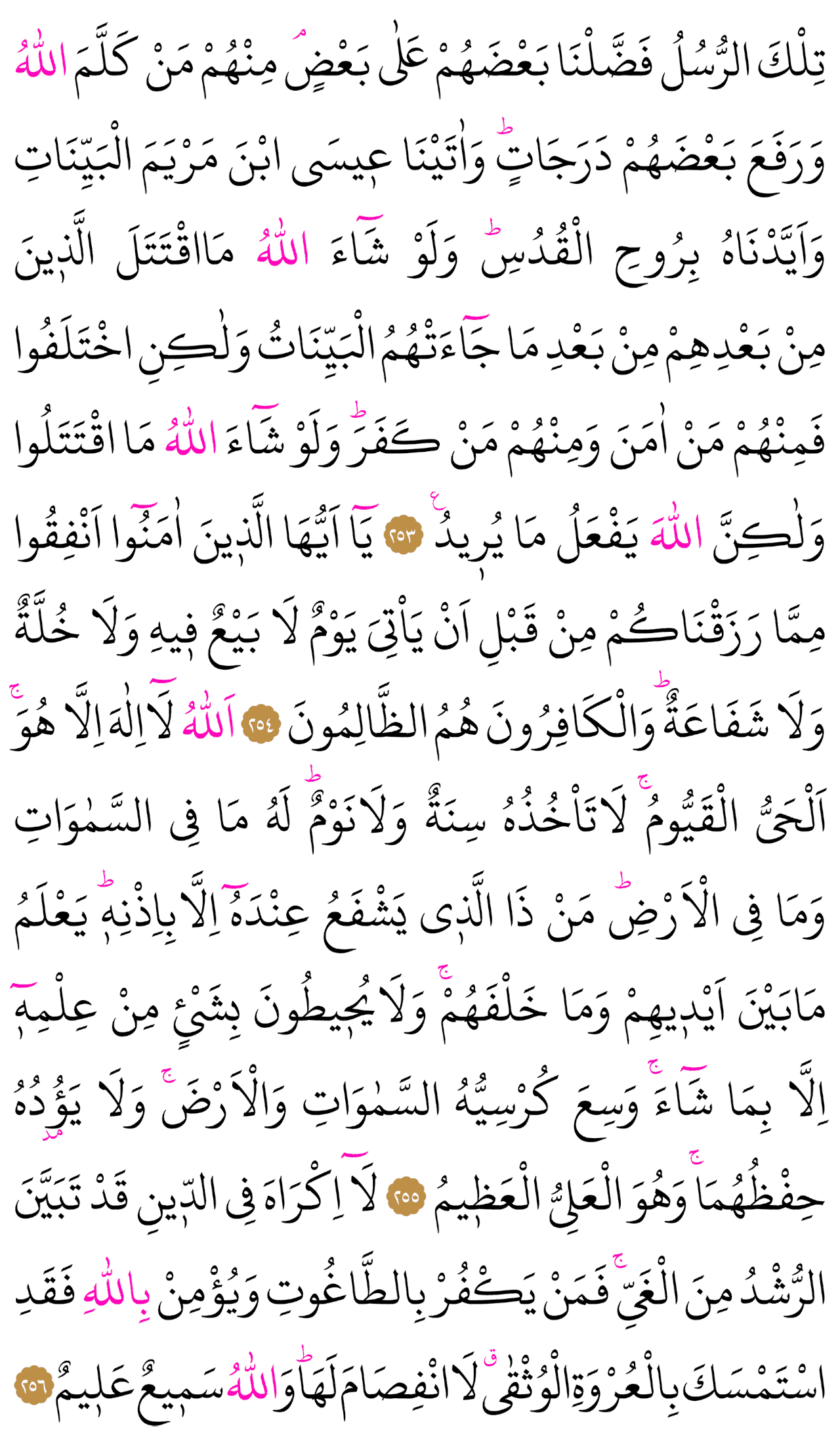 Kur'an-ı Kerim 42. sayfa