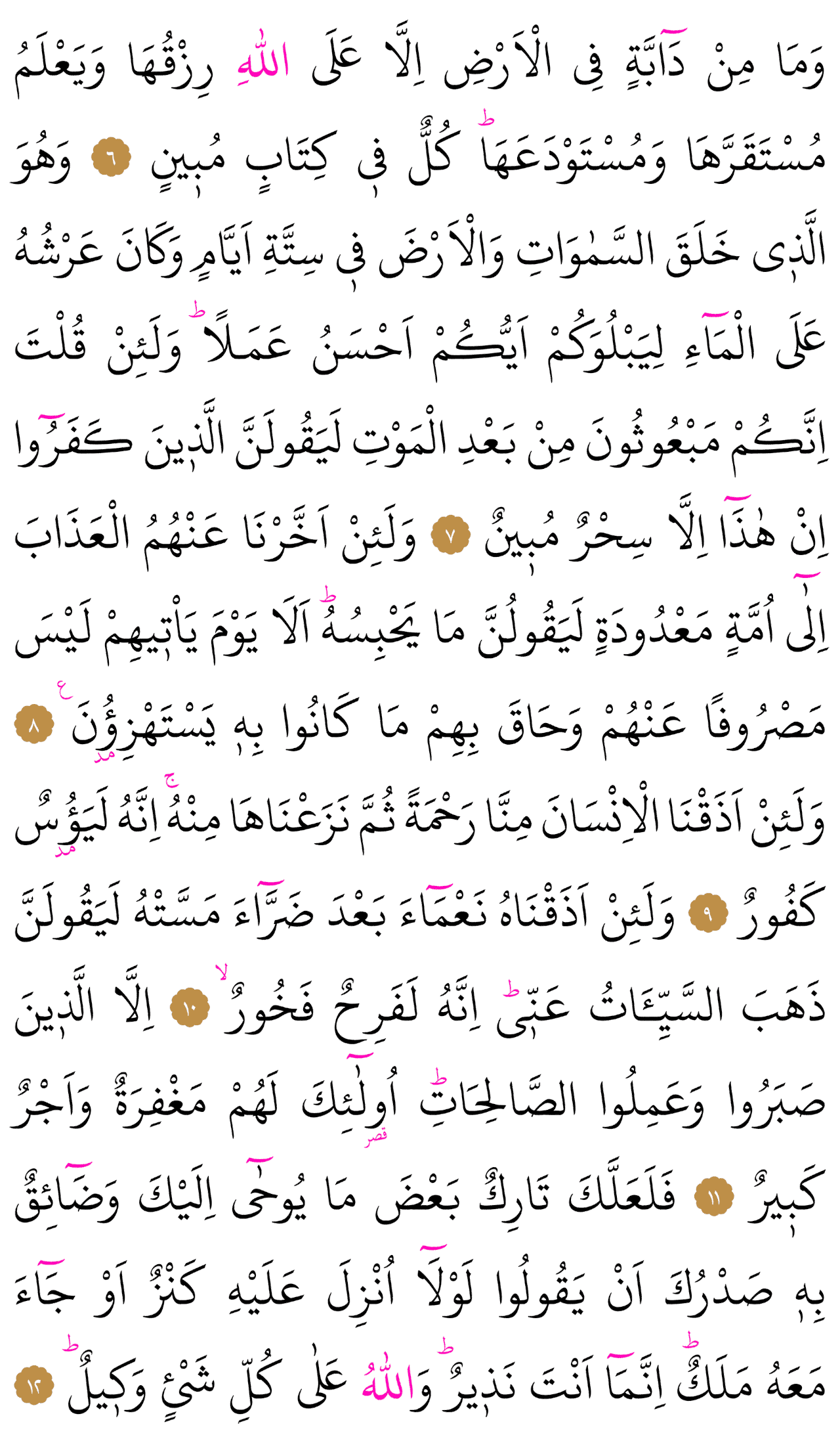Kur'an-ı Kerim 222. sayfa