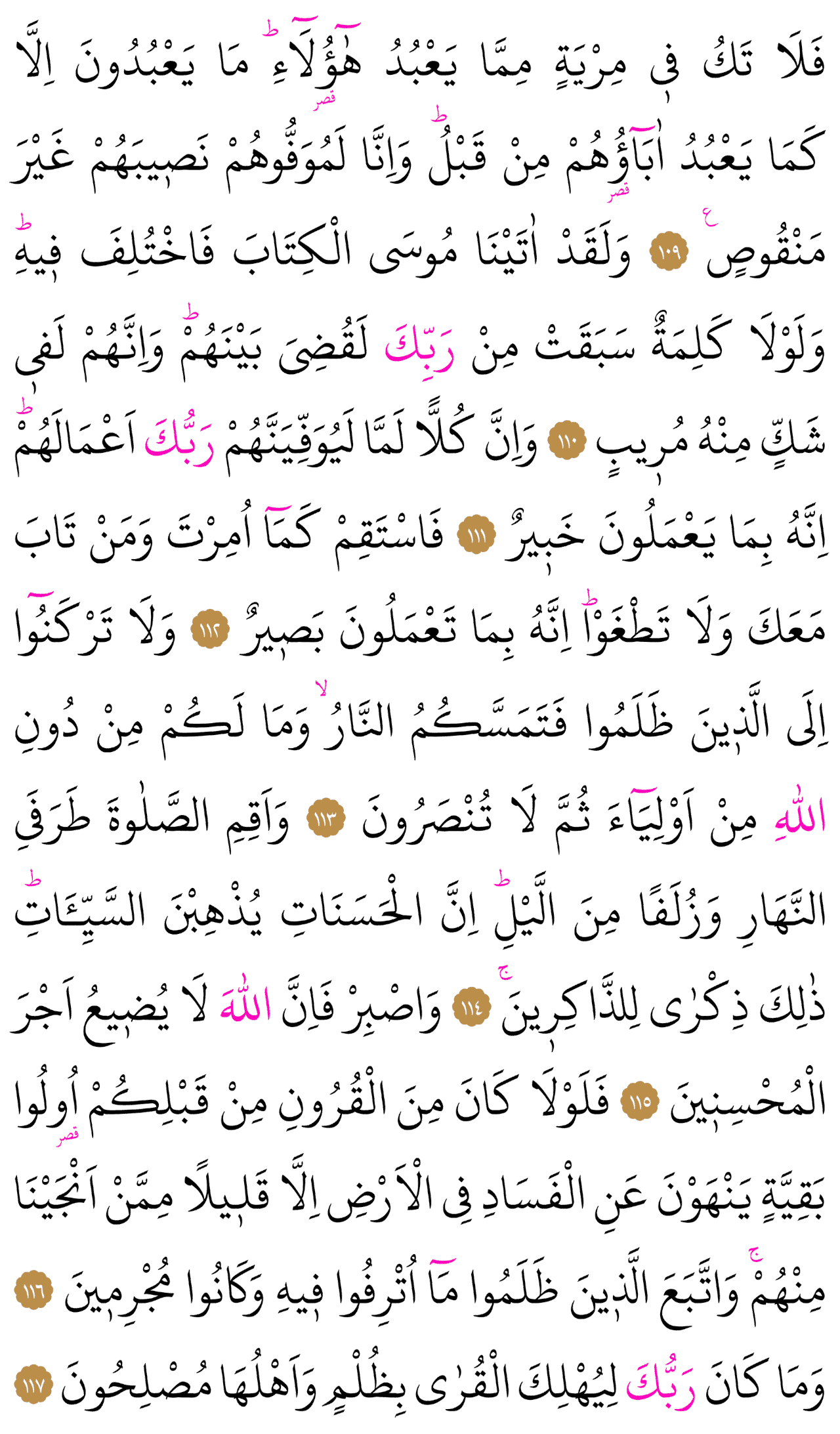 Kur'an-ı Kerim 234. sayfa