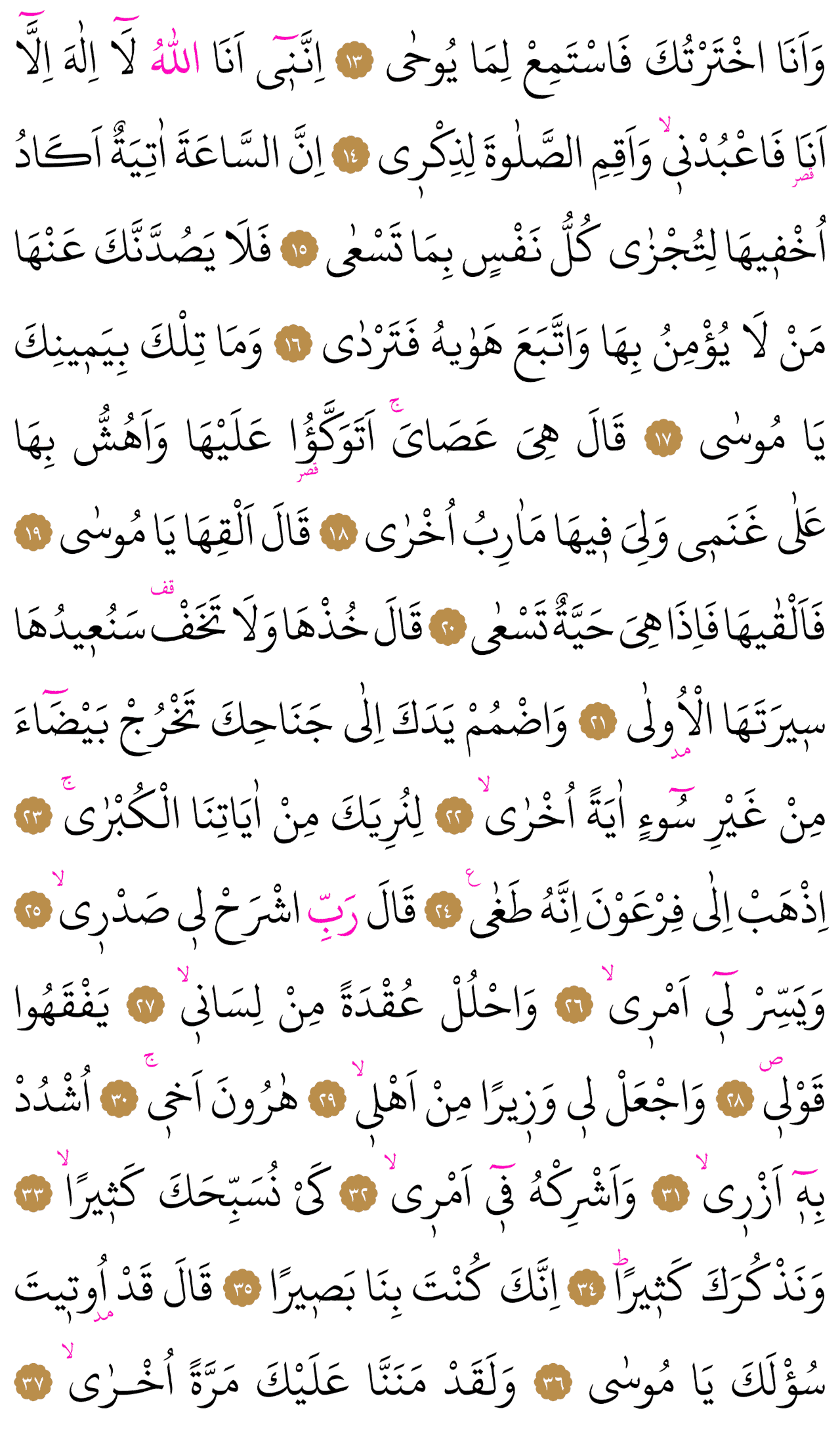 Kur'an-ı Kerim 313. sayfa