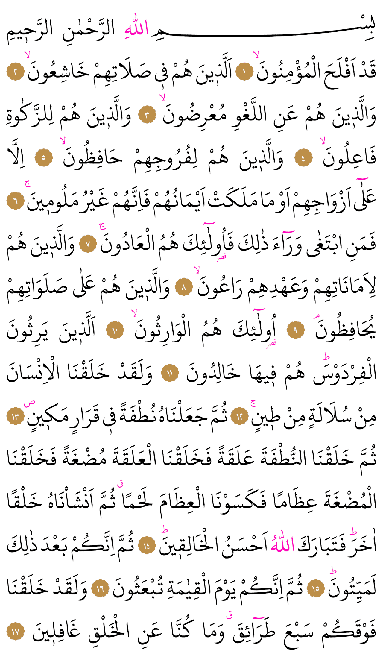 Kur'an-ı Kerim 342. sayfa