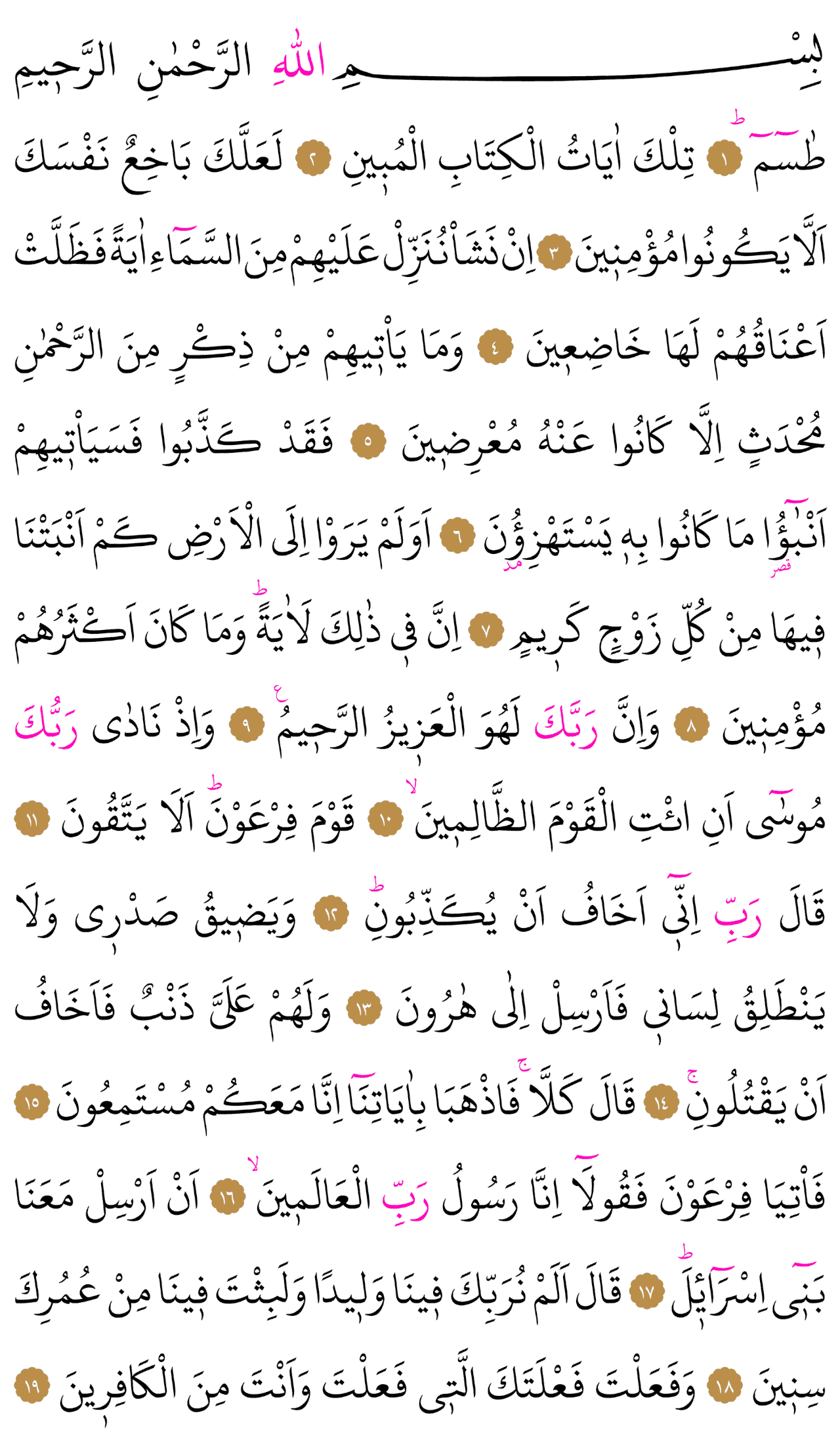 Kur'an-ı Kerim 367. sayfa