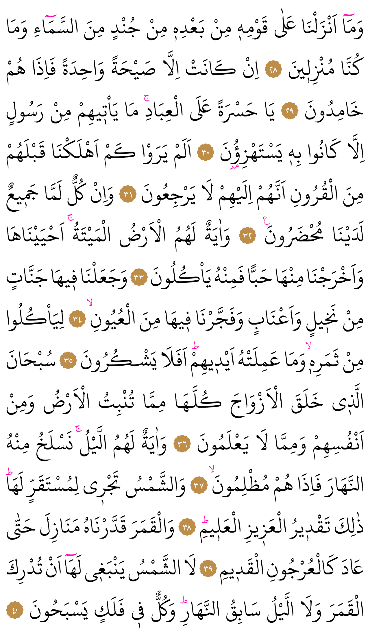 Kur'an-ı Kerim 442. sayfa