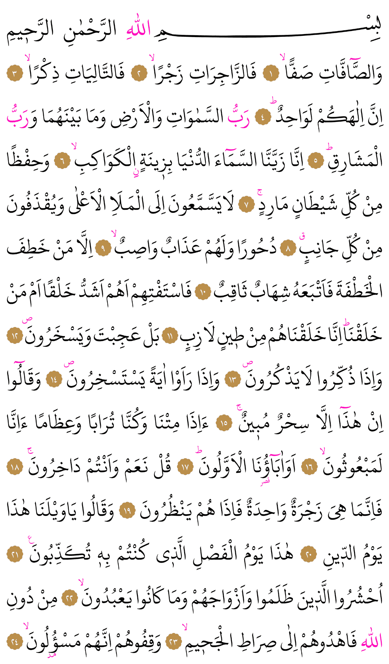 Kur'an-ı Kerim 446. sayfa
