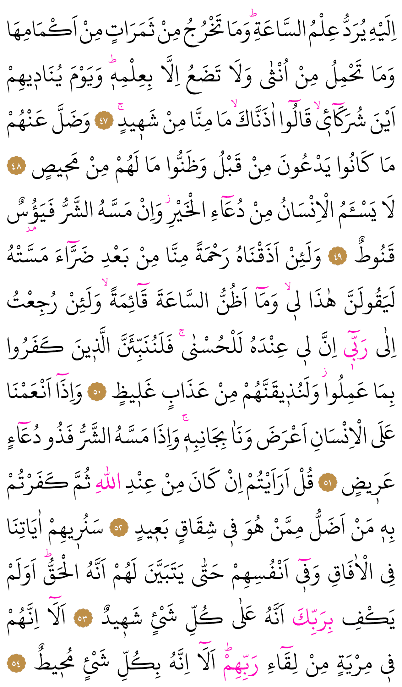 Kur'an-ı Kerim 482. sayfa