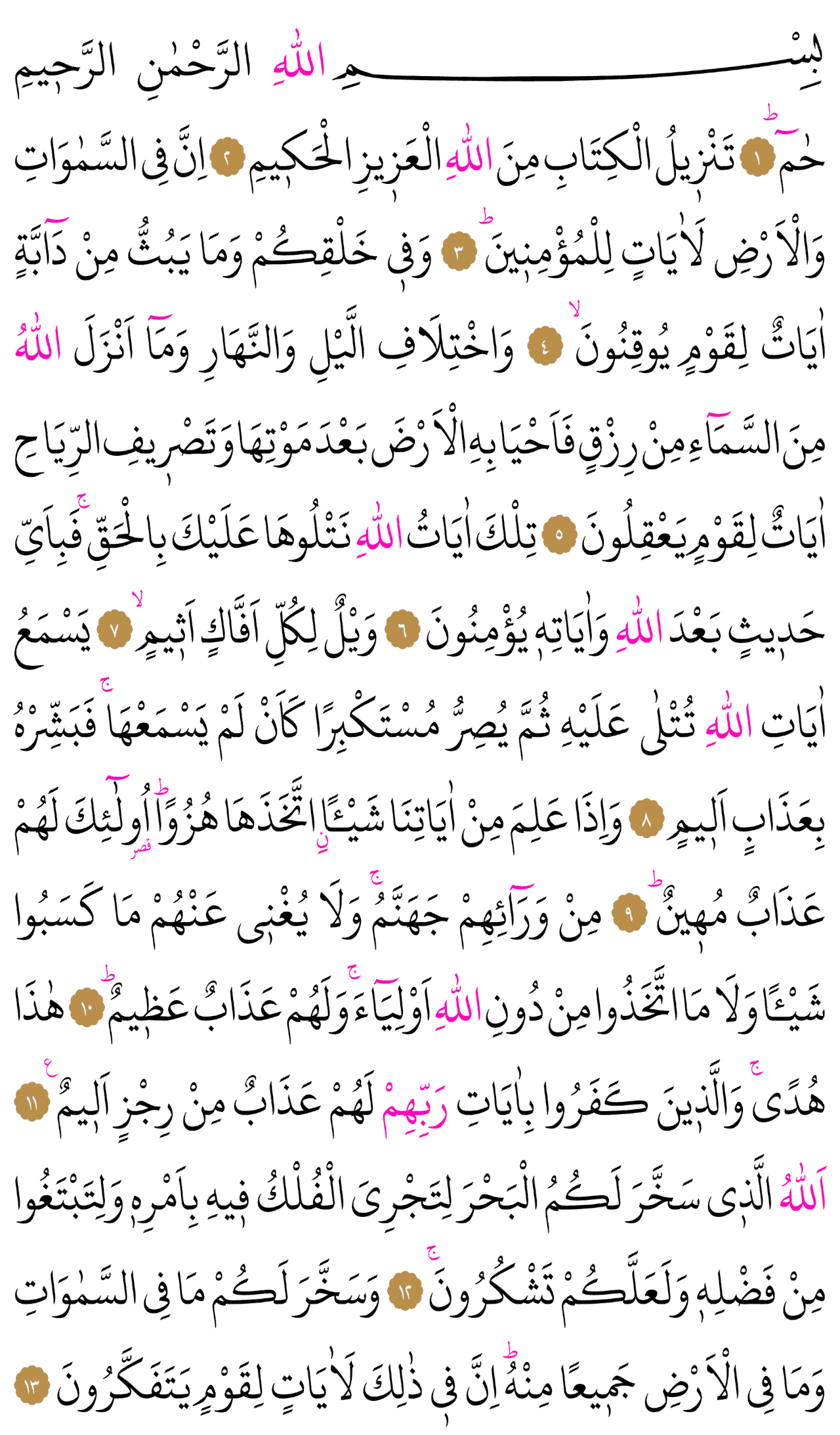 Kur'an-ı Kerim 499. sayfa