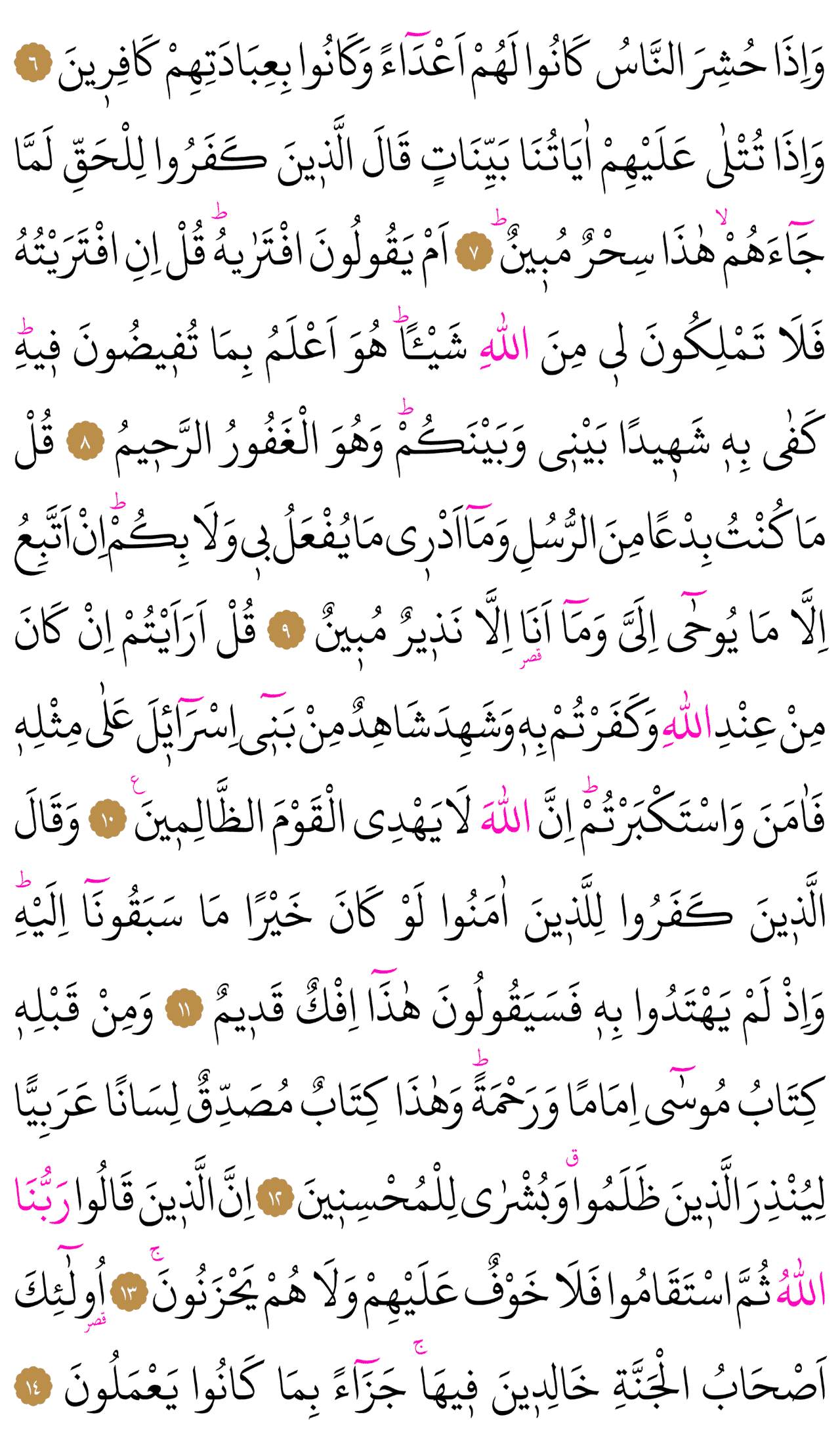 Kur'an-ı Kerim 503. sayfa