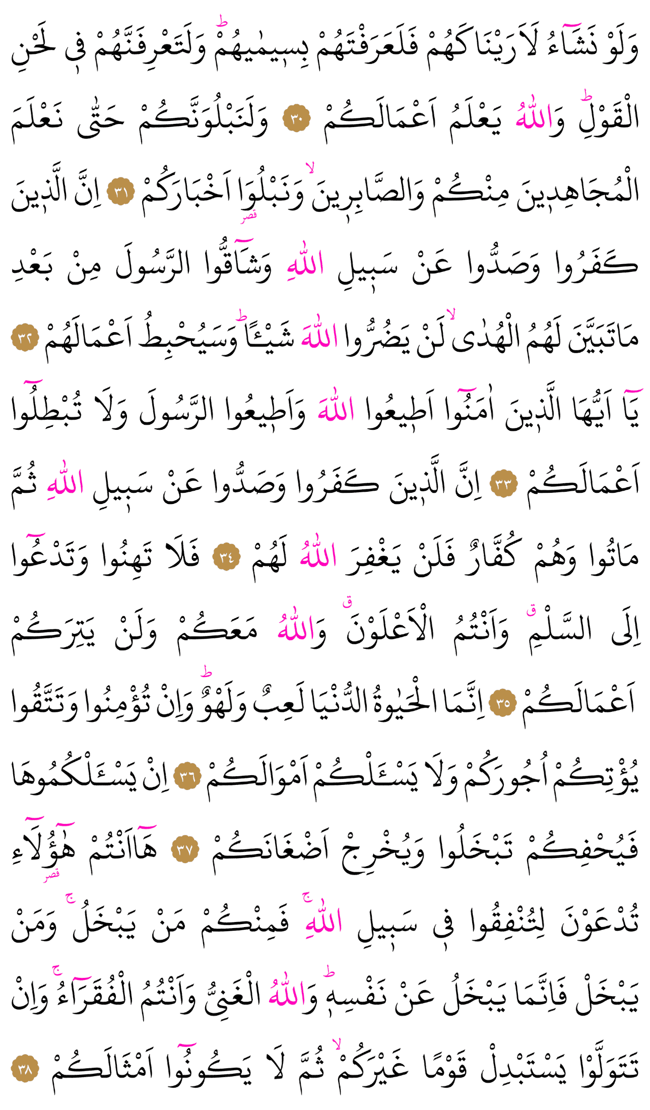 Kur'an-ı Kerim 510. sayfa