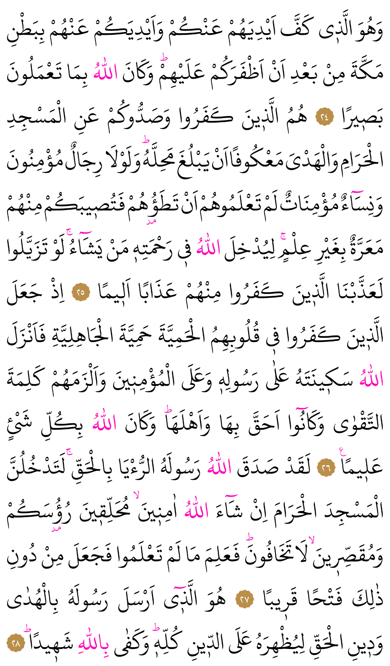 Kur'an-ı Kerim 514. sayfa