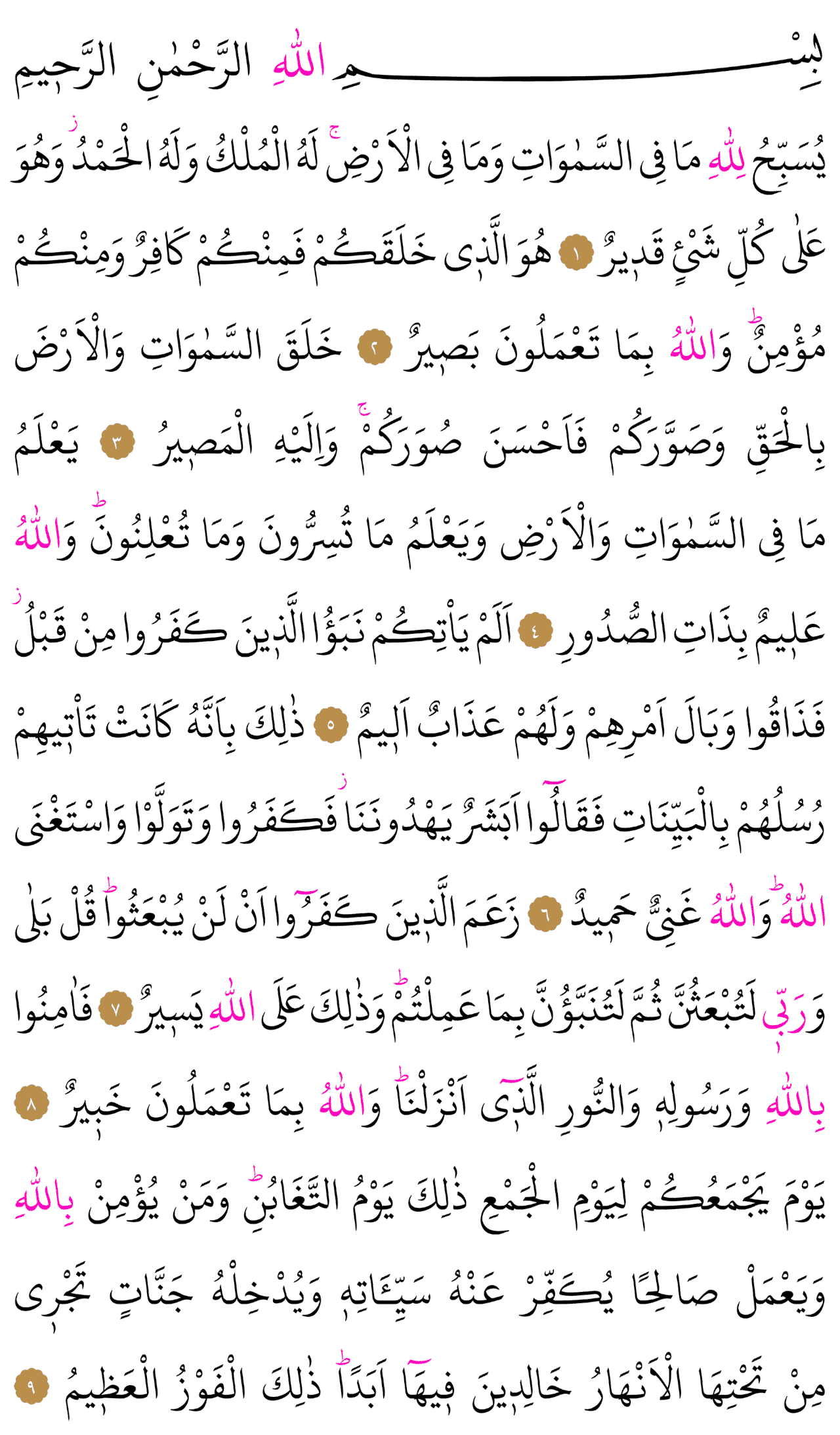 Kur'an-ı Kerim 556. sayfa