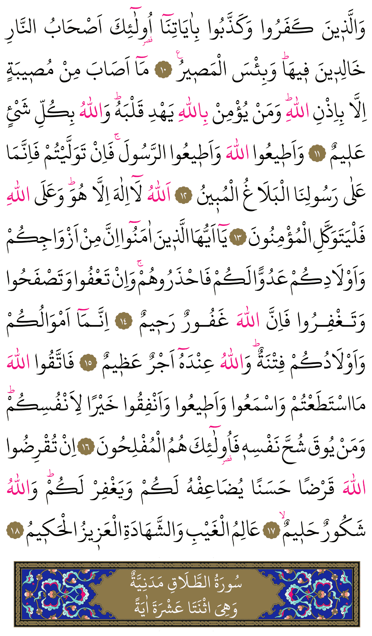 Kur'an-ı Kerim 557. sayfa