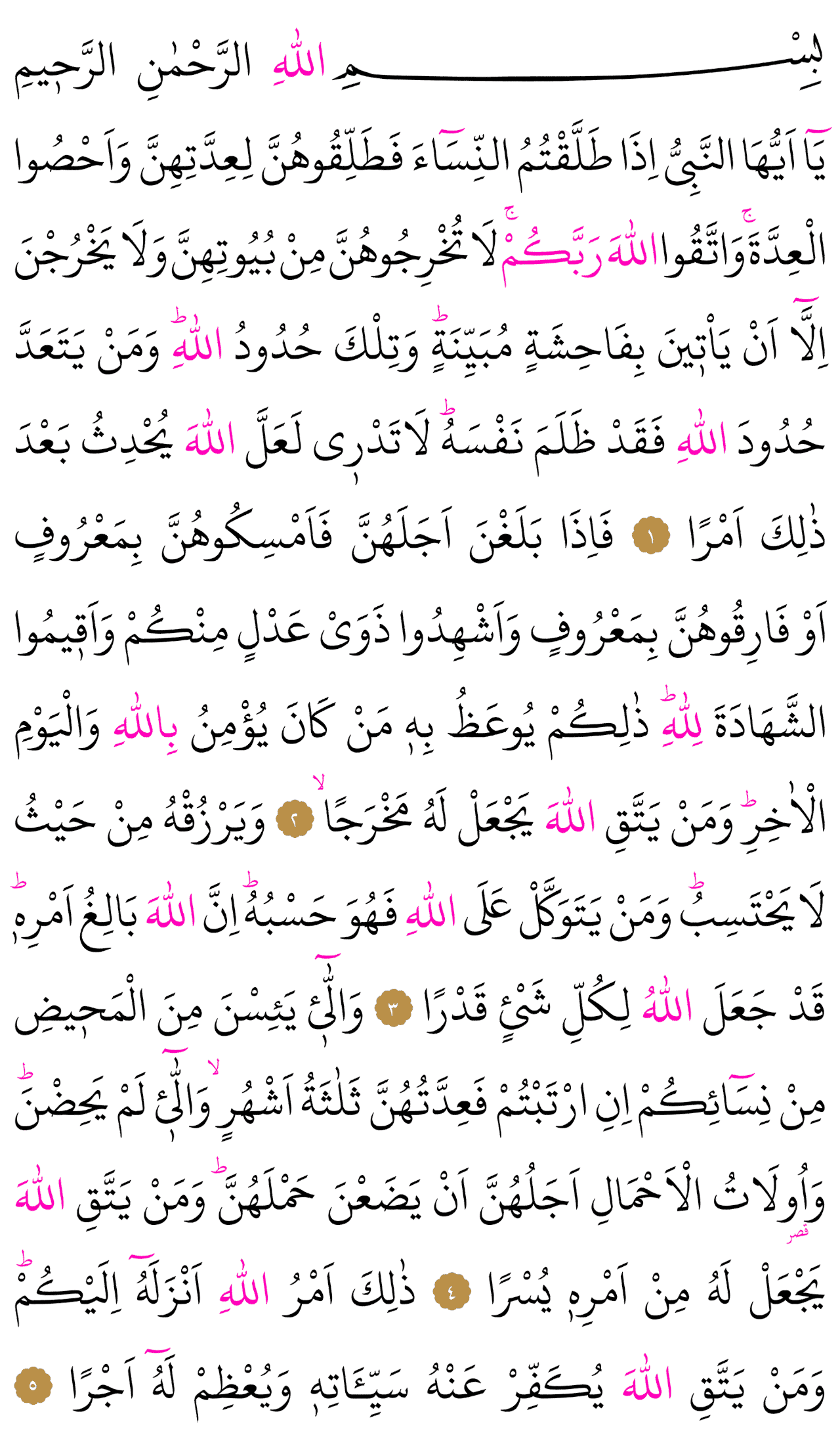 Kur'an-ı Kerim 558. sayfa