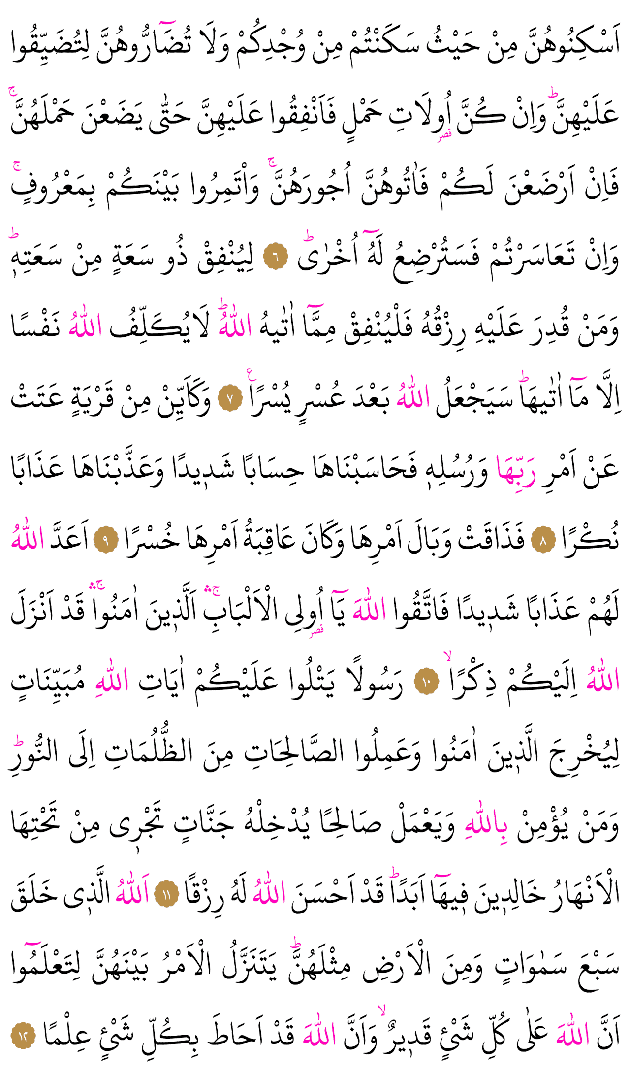 Kur'an-ı Kerim 559. sayfa