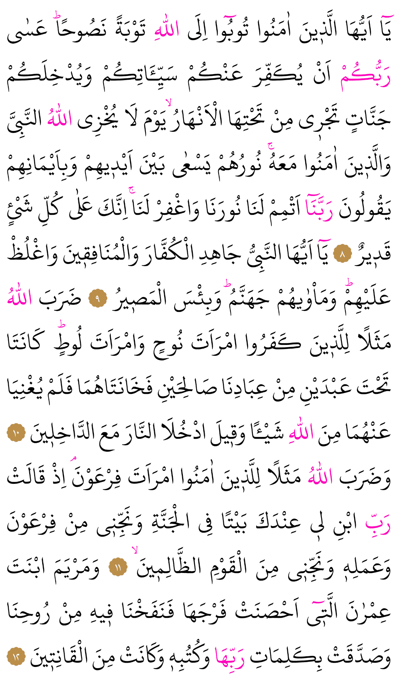 Kur'an-ı Kerim 561. sayfa