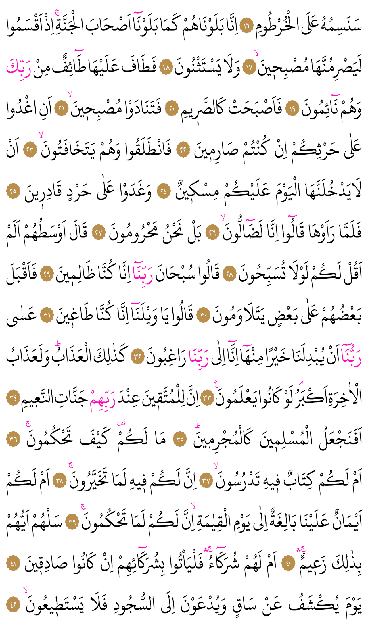 Kur'an-ı Kerim 565. sayfa