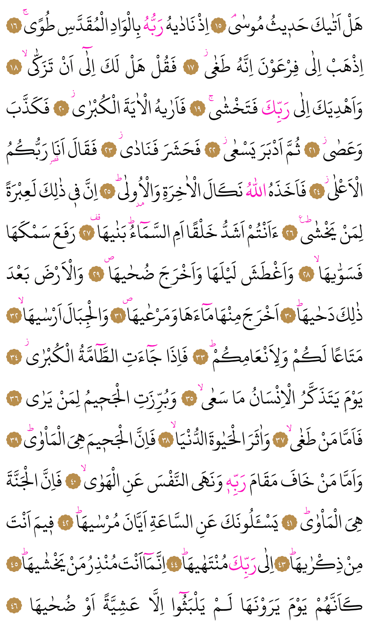 Kur'an-ı Kerim 584. sayfa